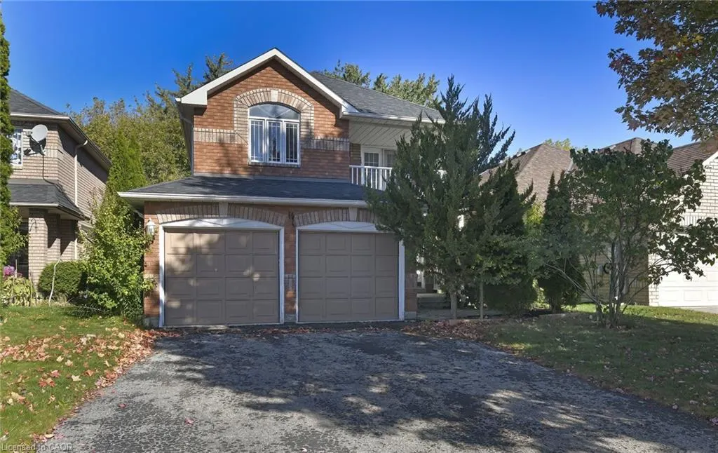 20 Rinaldo Road