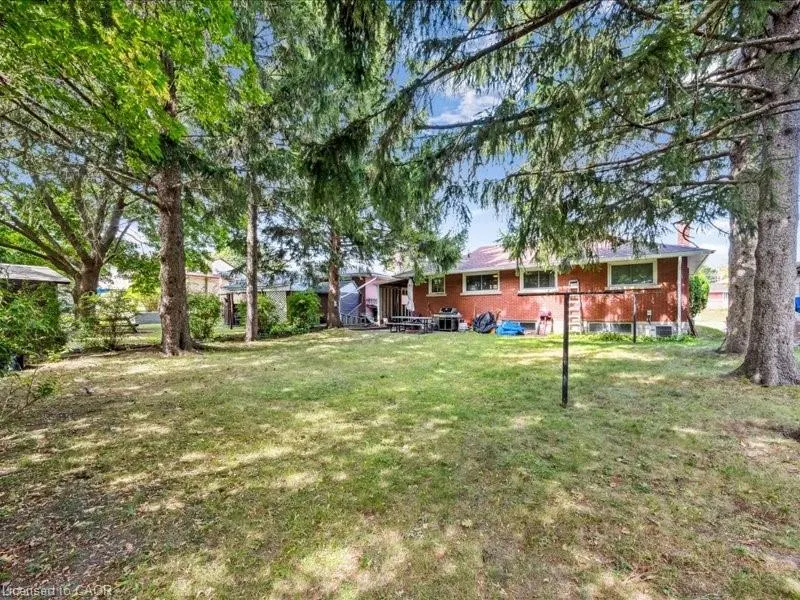 41 Boniface Avenue