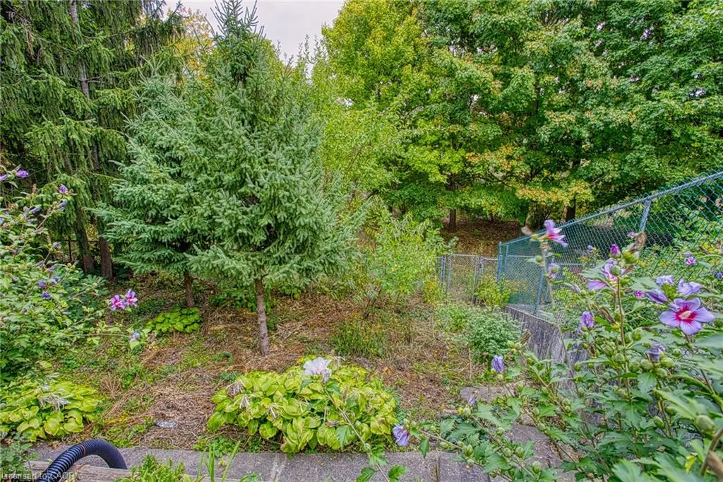 633 Rosseau Road