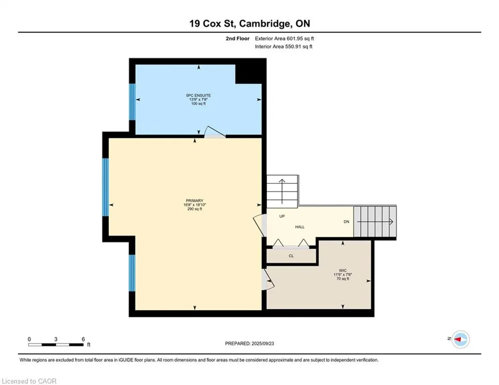 19 Cox Street