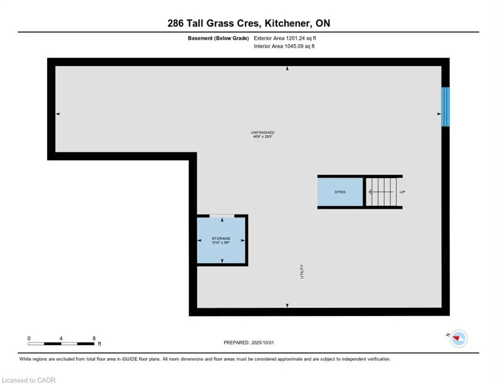 286 Tall Grass Crescent