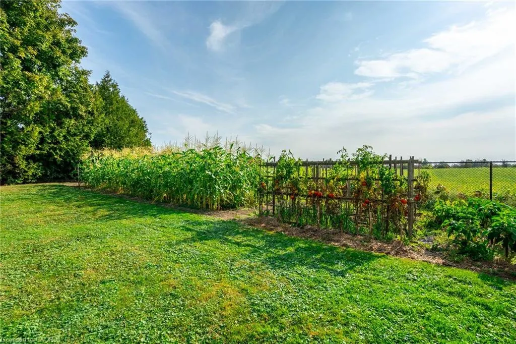 515 Trinity Church Road
