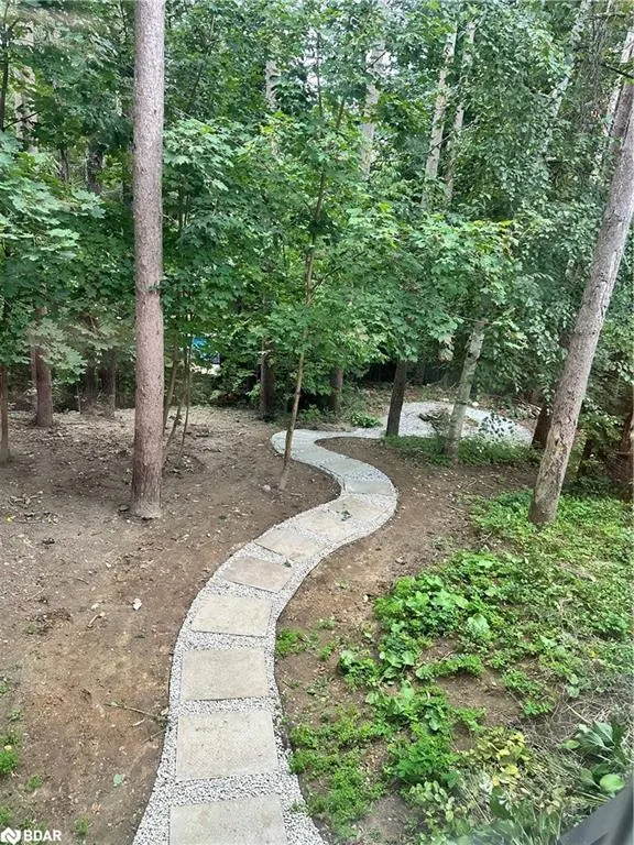 1 Pine Spring