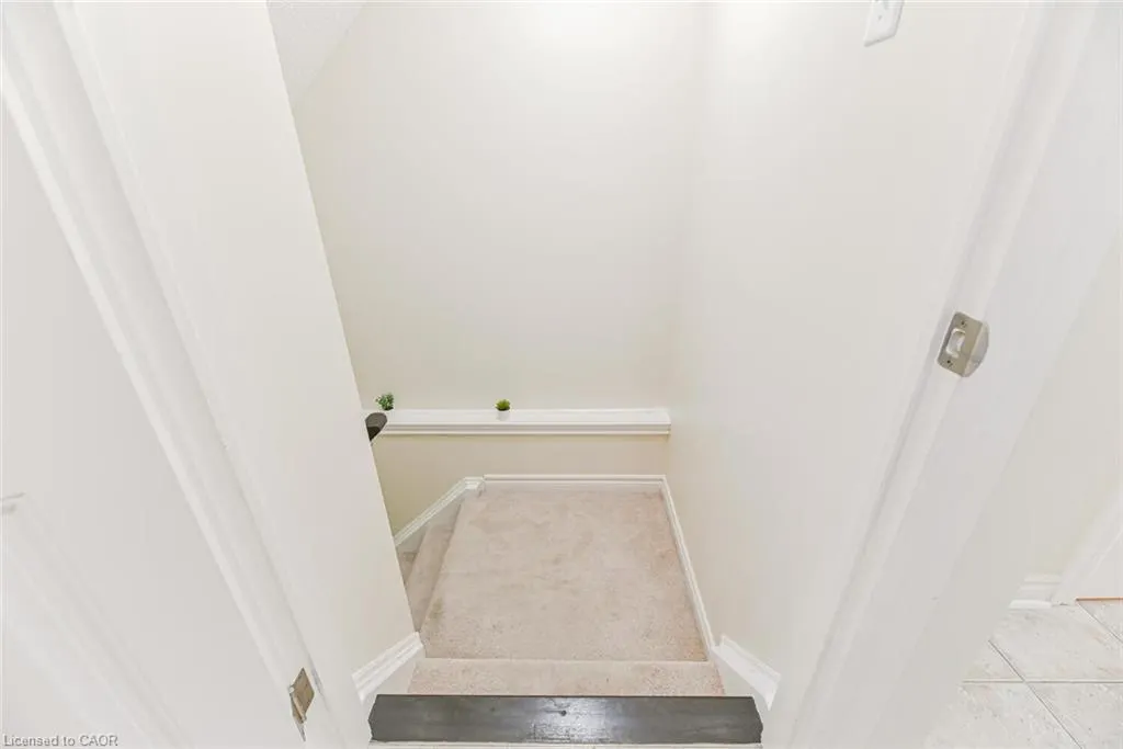 535 Margaret Street, #4