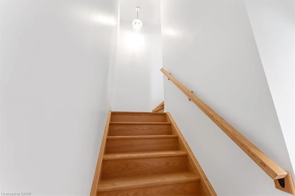 7 Aspen Common