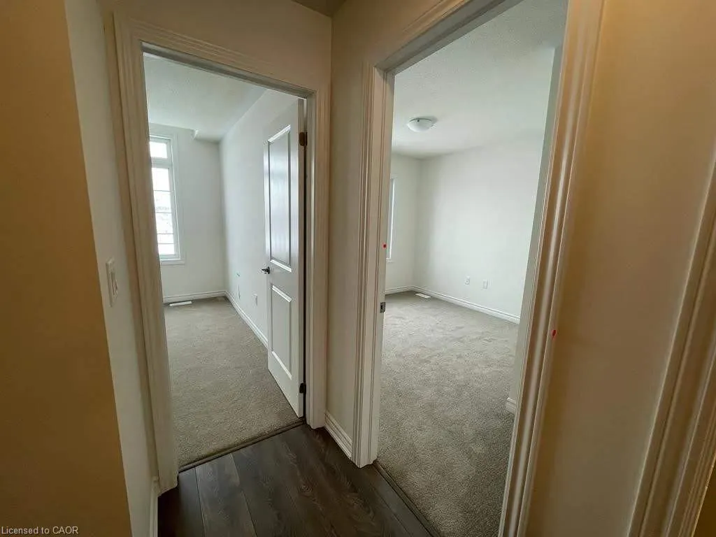 41 Greer Street