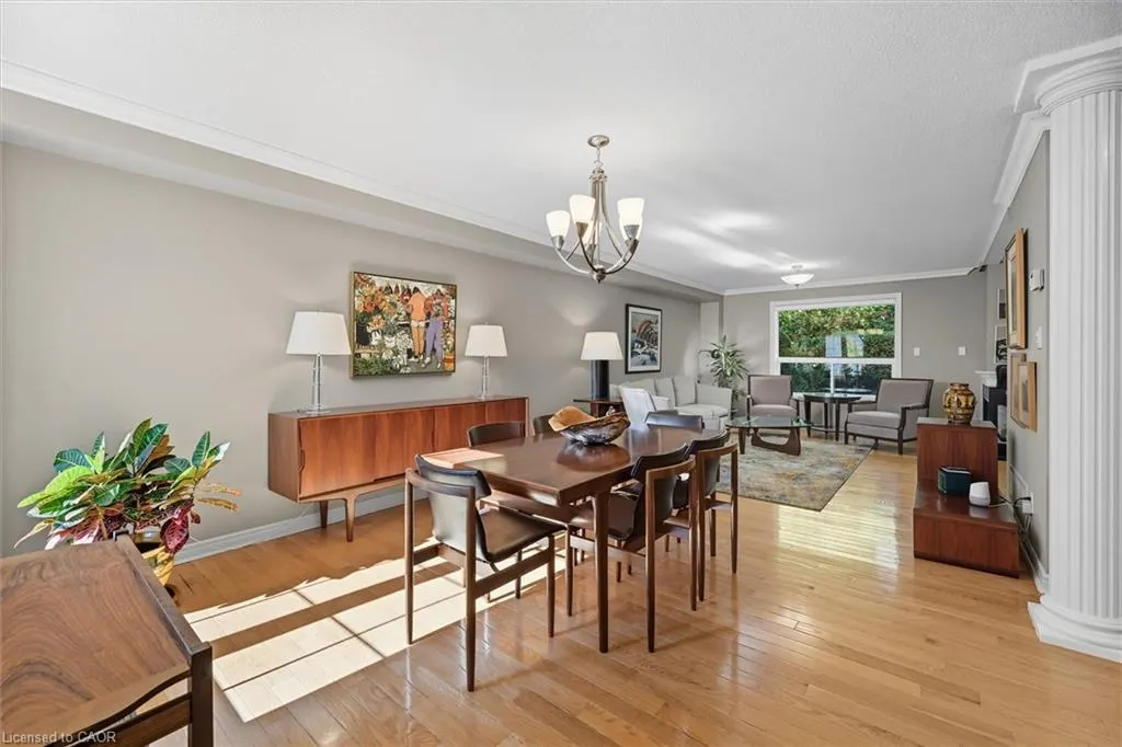 3045 New Street, #41