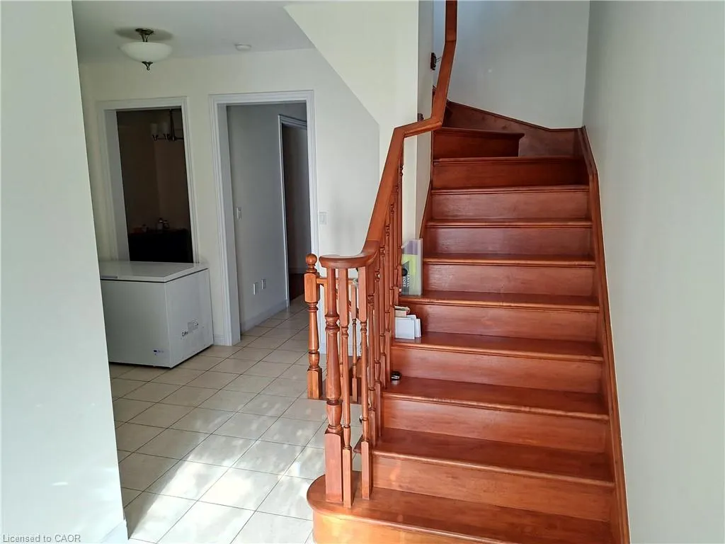 39 Matteo Trail