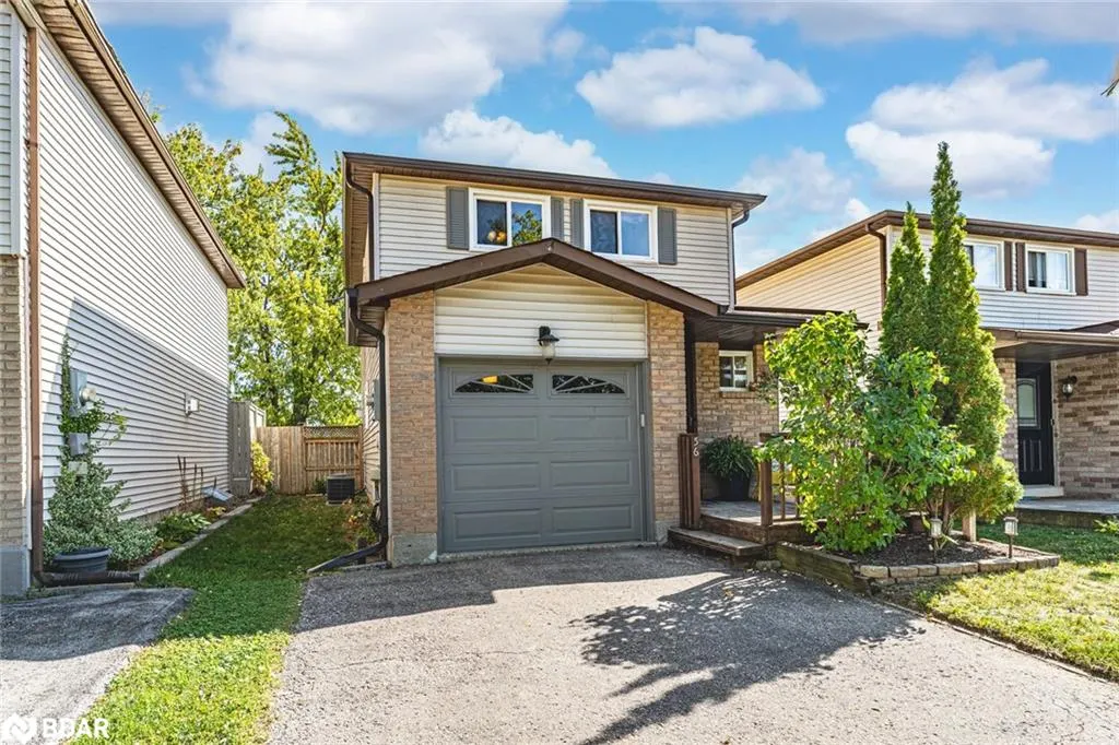 56 Maitland Drive