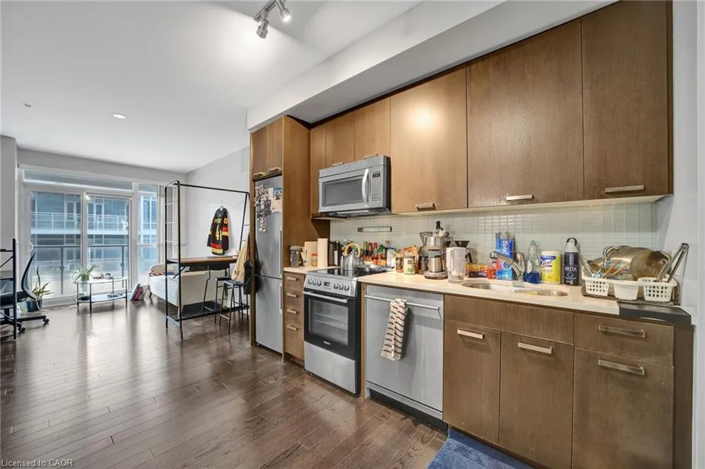 295 Adelaide Street W, #1015