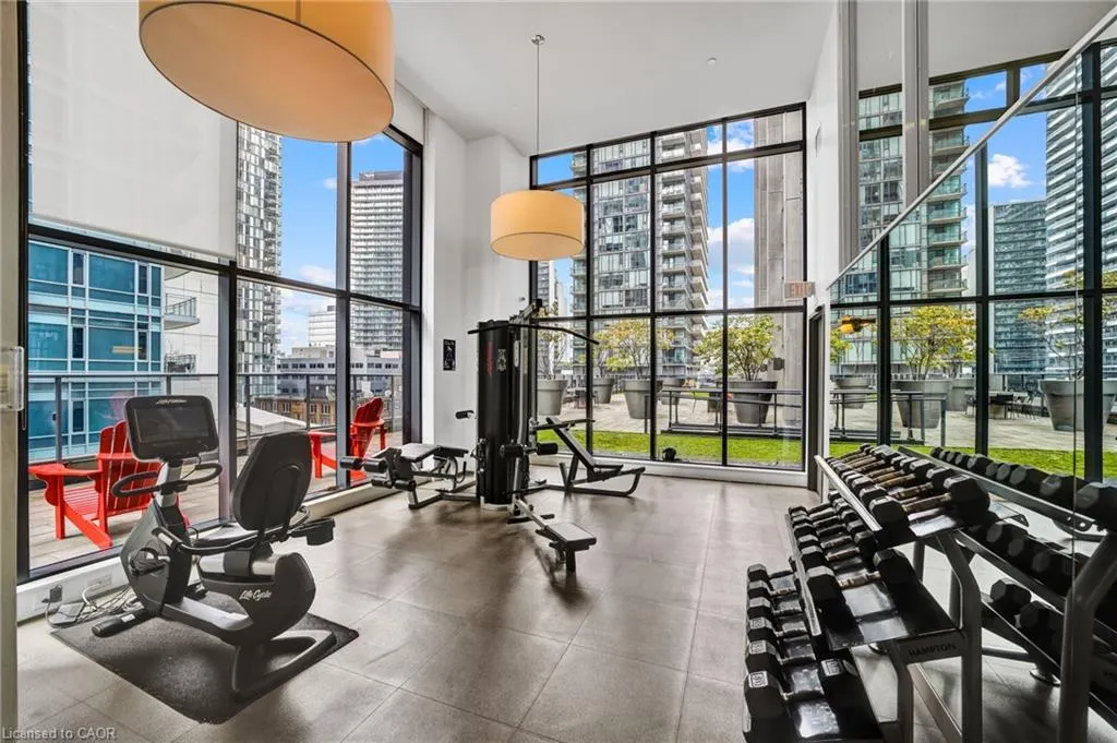 295 Adelaide Street W, #1015