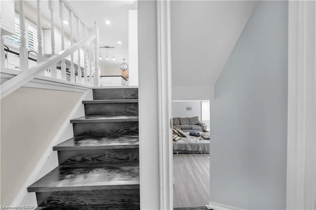 5 Orsi Road