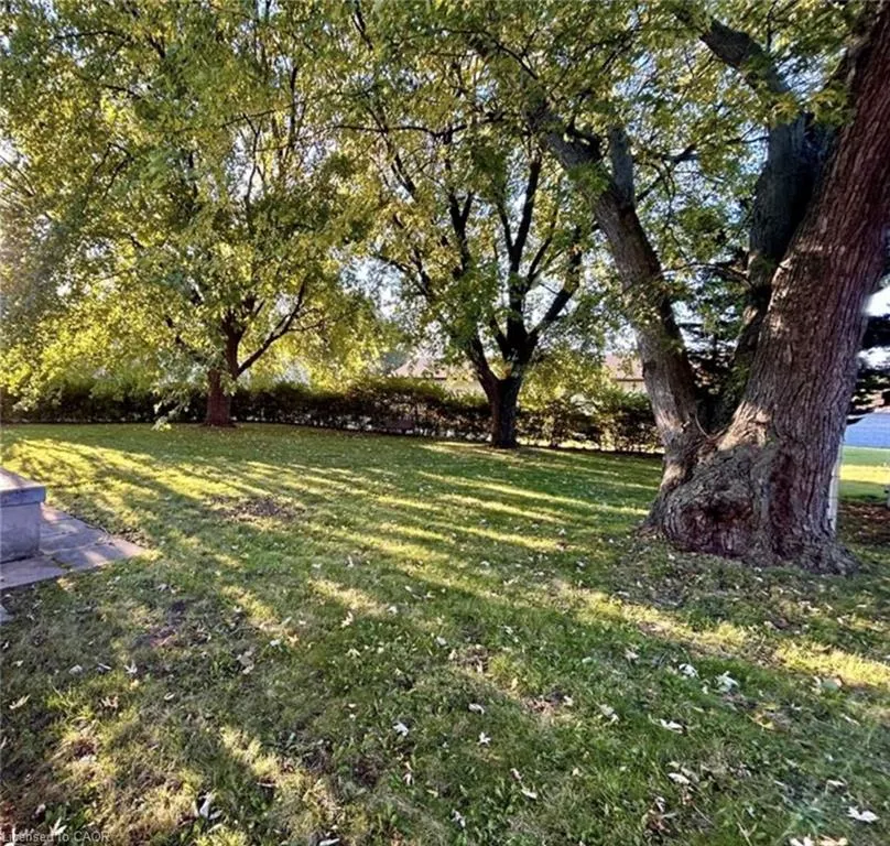 253 Limeridge Road W