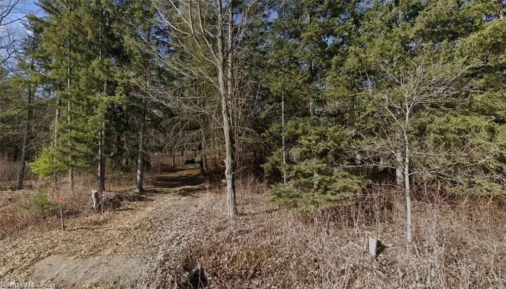 PT LT H Shellard Road