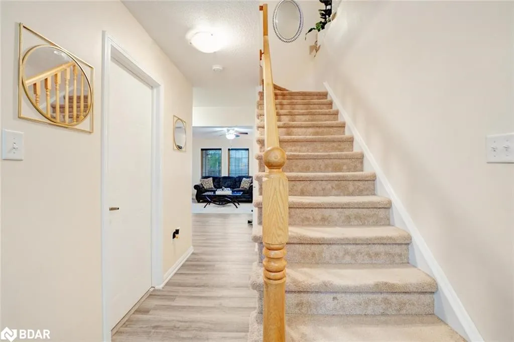 4 Owl Street