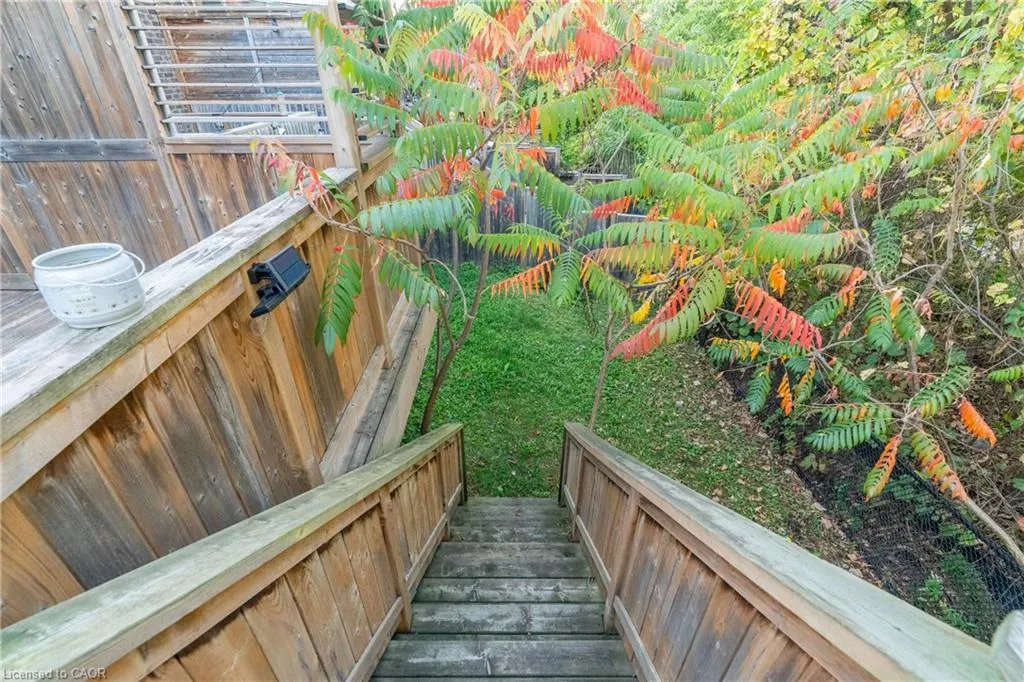 49 Meadowridge Street