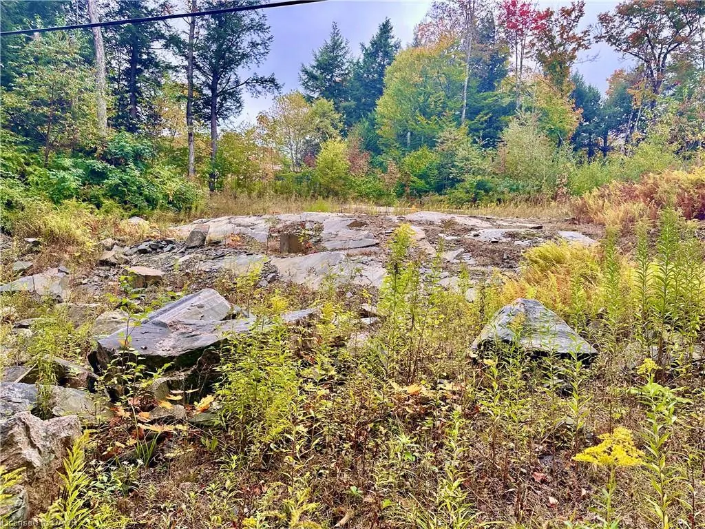 1150 Limberlost Road