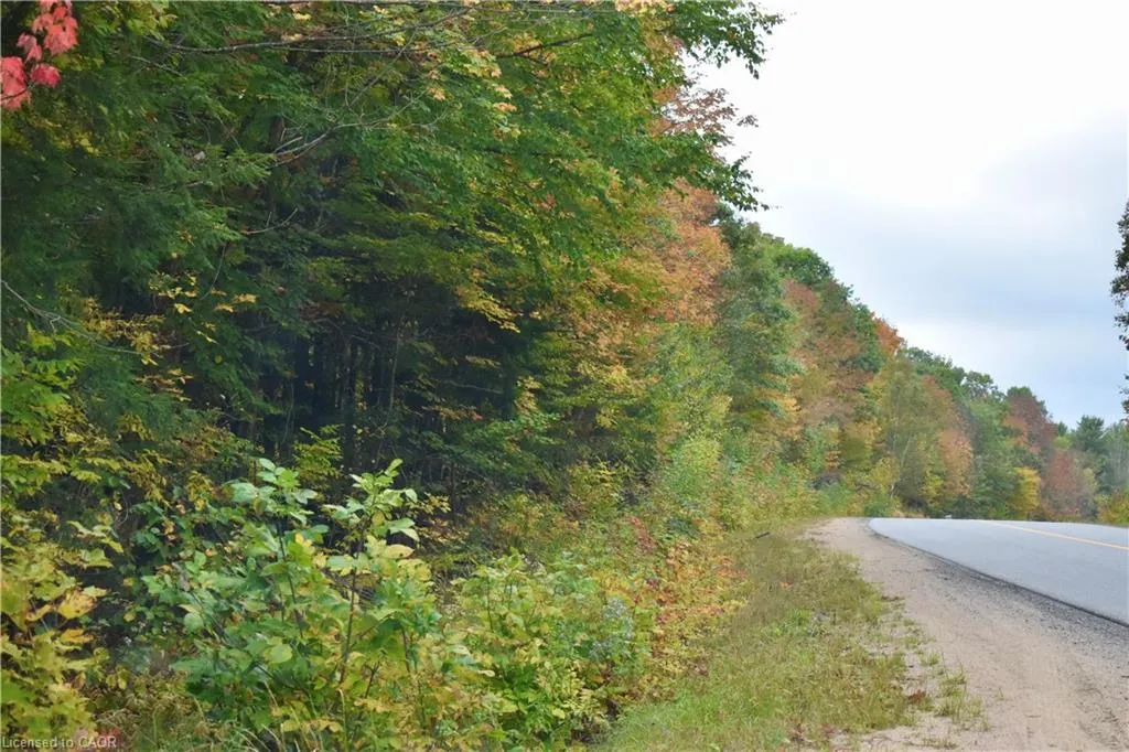 1150 Limberlost Road