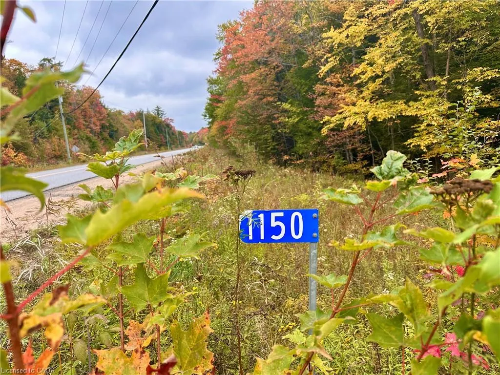 1150 Limberlost Road