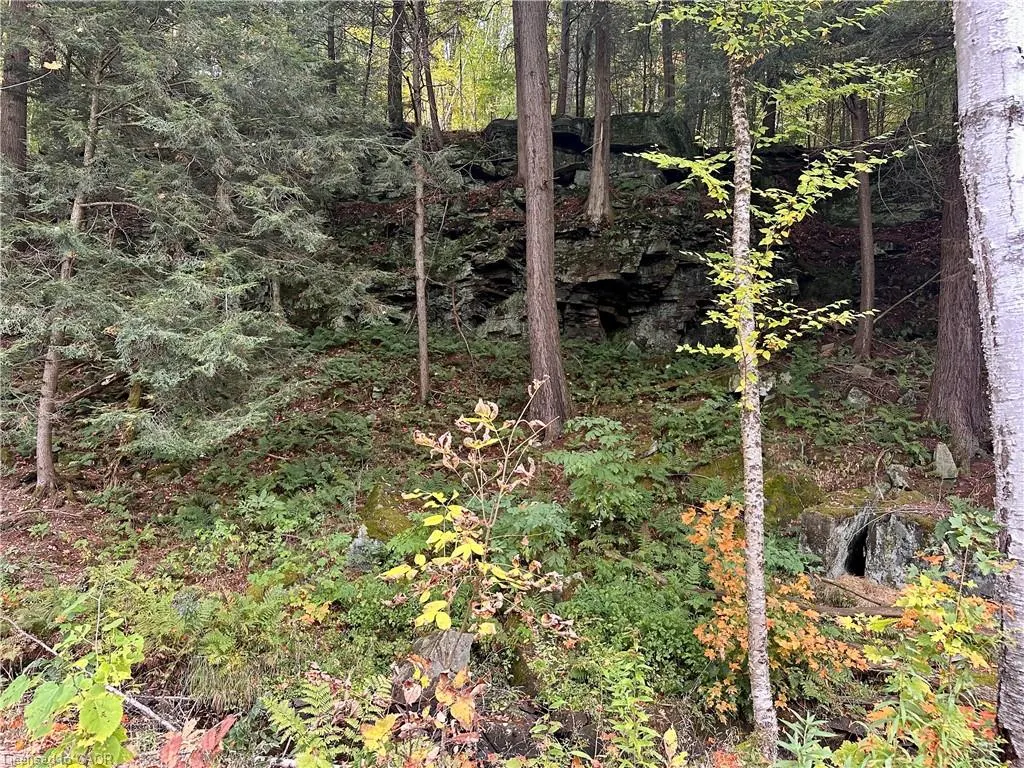 1150 Limberlost Road