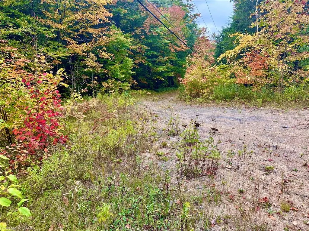 1150 Limberlost Road