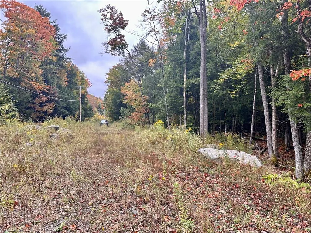 1150 Limberlost Road