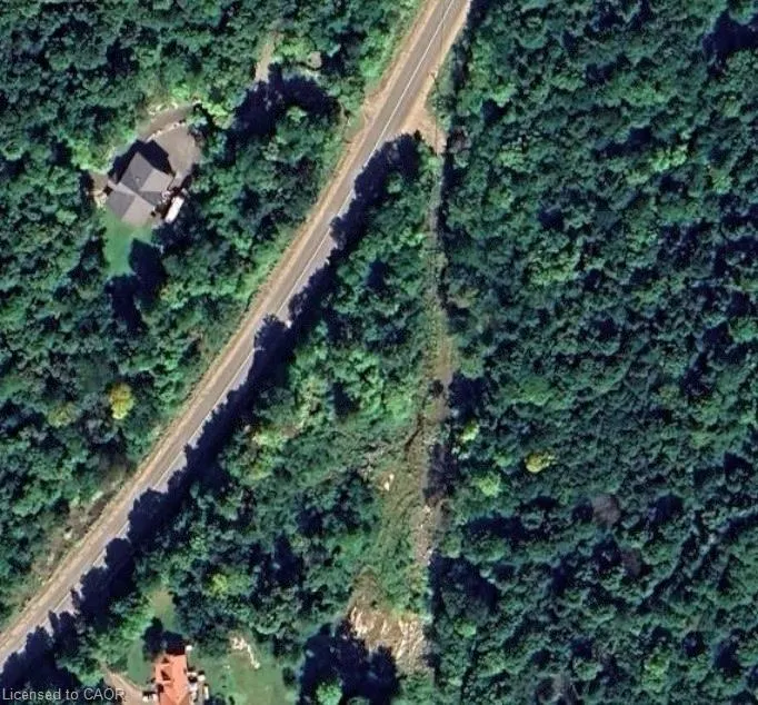 1150 Limberlost Road
