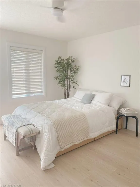 362 Fairview Street, #103