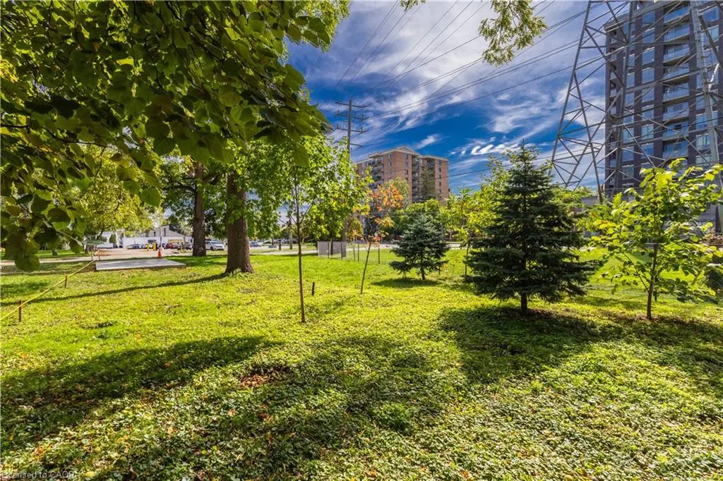 5/6 Elgin Street