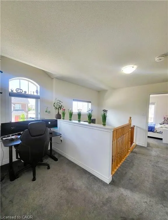 3098 Michelangelo Road