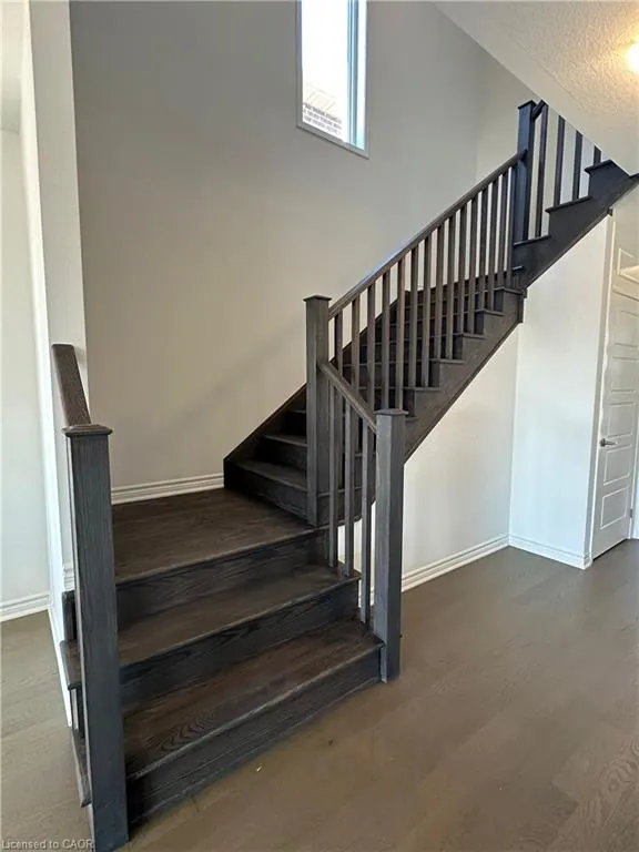 267 Rosenberg Way