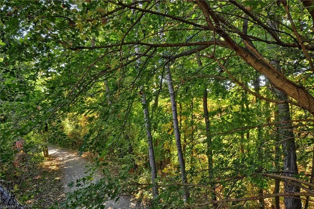 313 Pine Valley Drive