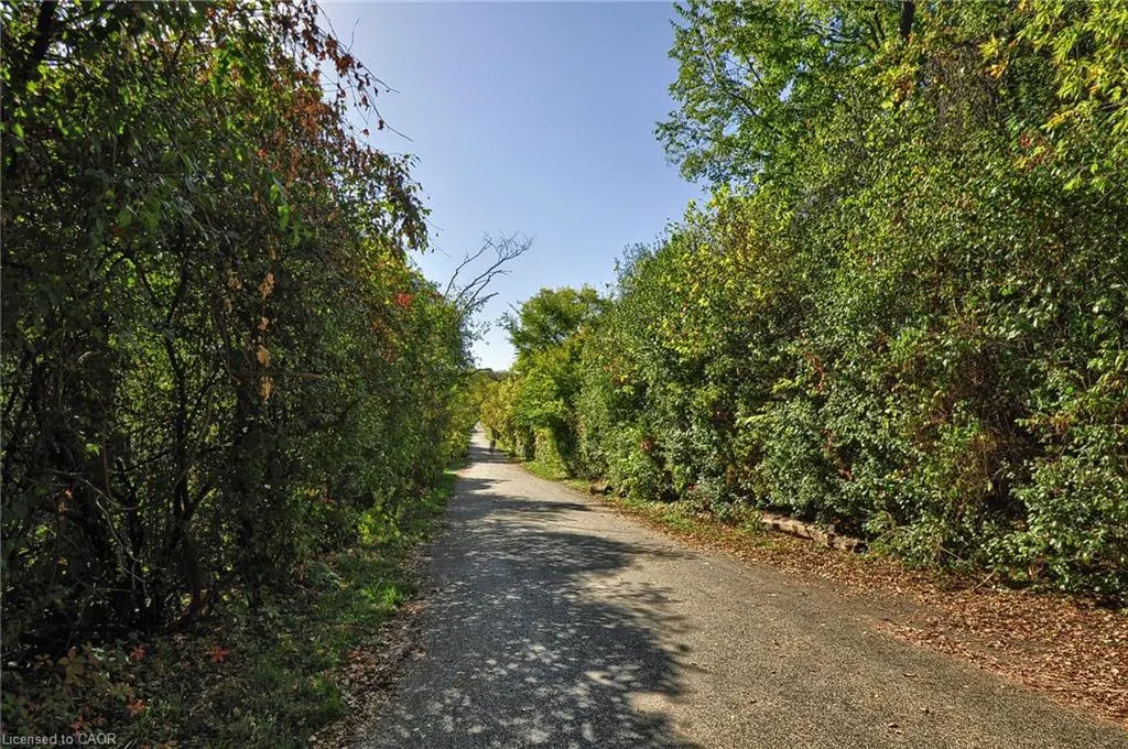 313 Pine Valley Drive