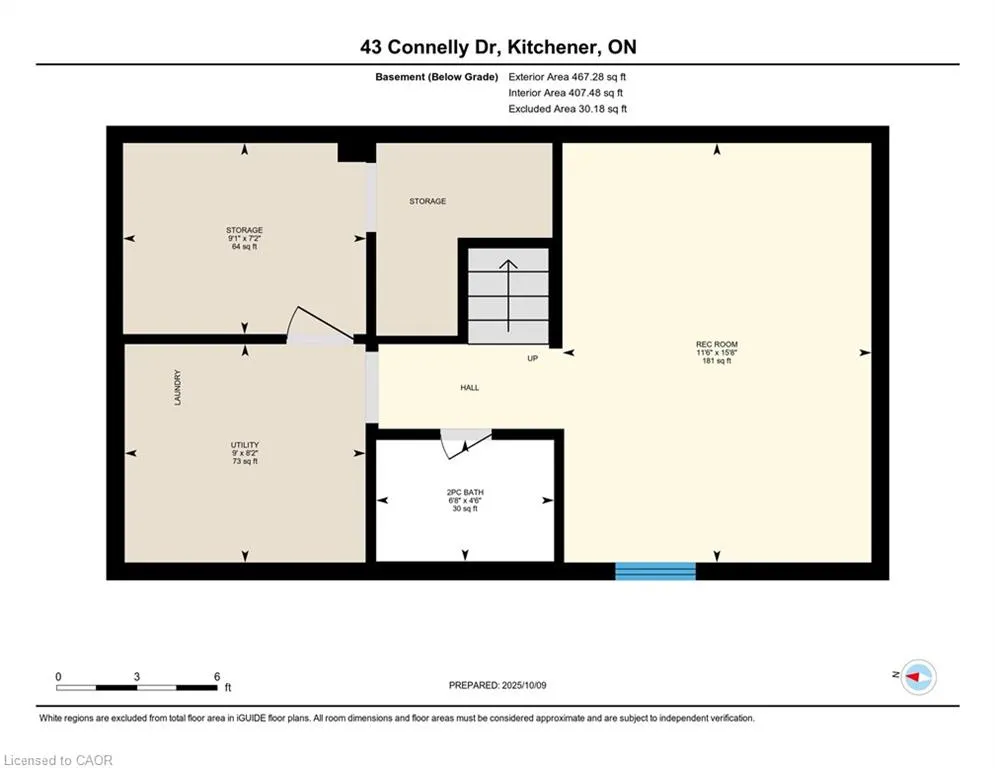 43 Connelly Drive