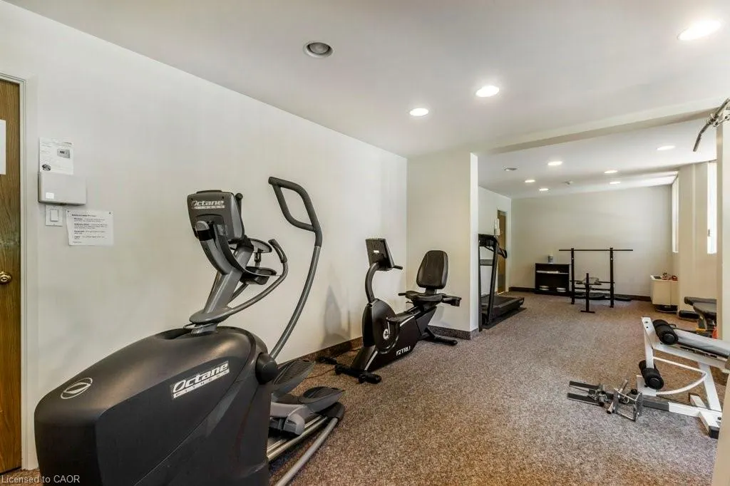 20 Ellen Street E, #203