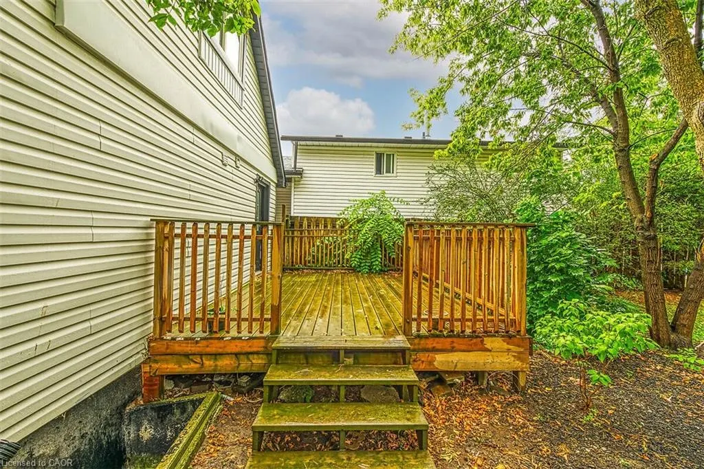34 Rykert Street
