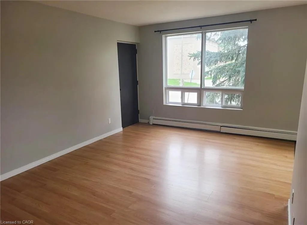163 Chandler Drive, #11