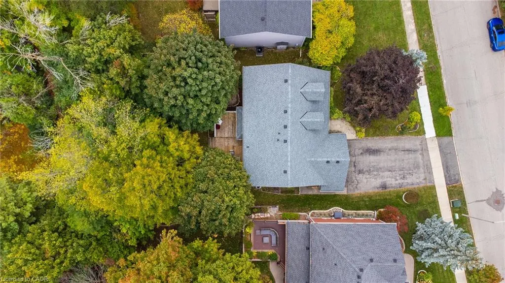 553 Paradise Crescent
