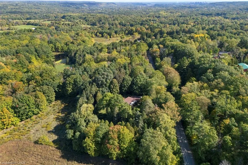 1441 Mineral Springs Road