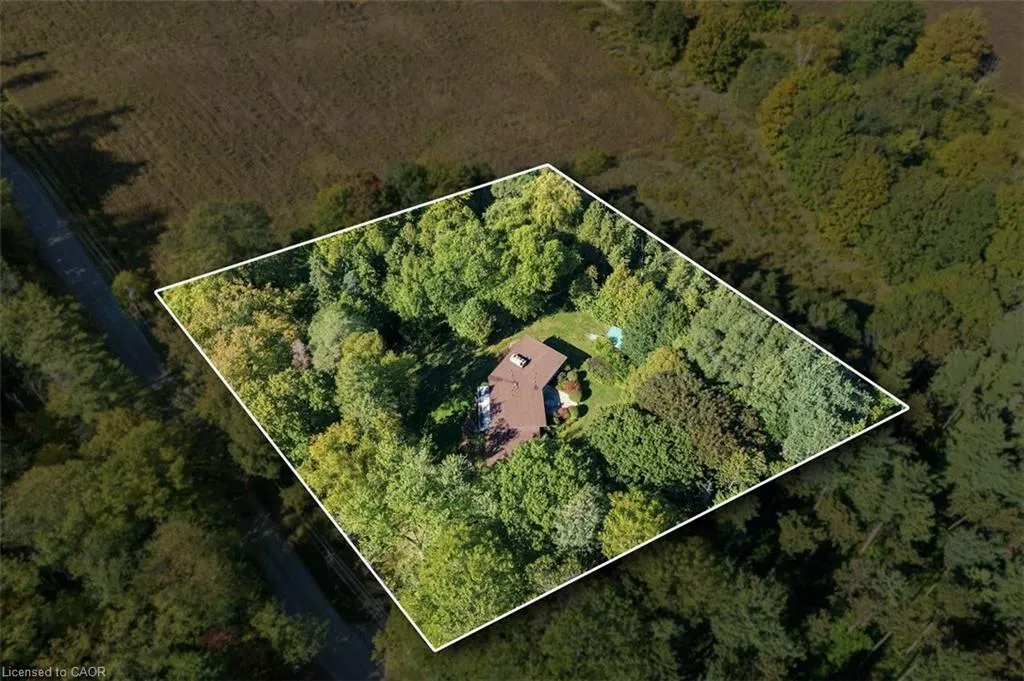 1441 Mineral Springs Road