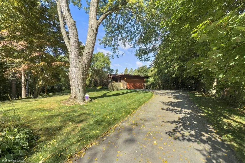 1441 Mineral Springs Road