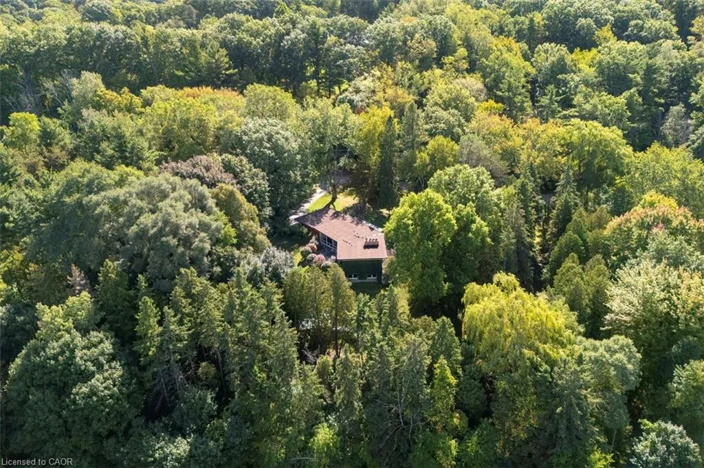 1441 Mineral Springs Road