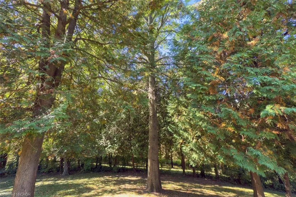 1441 Mineral Springs Road