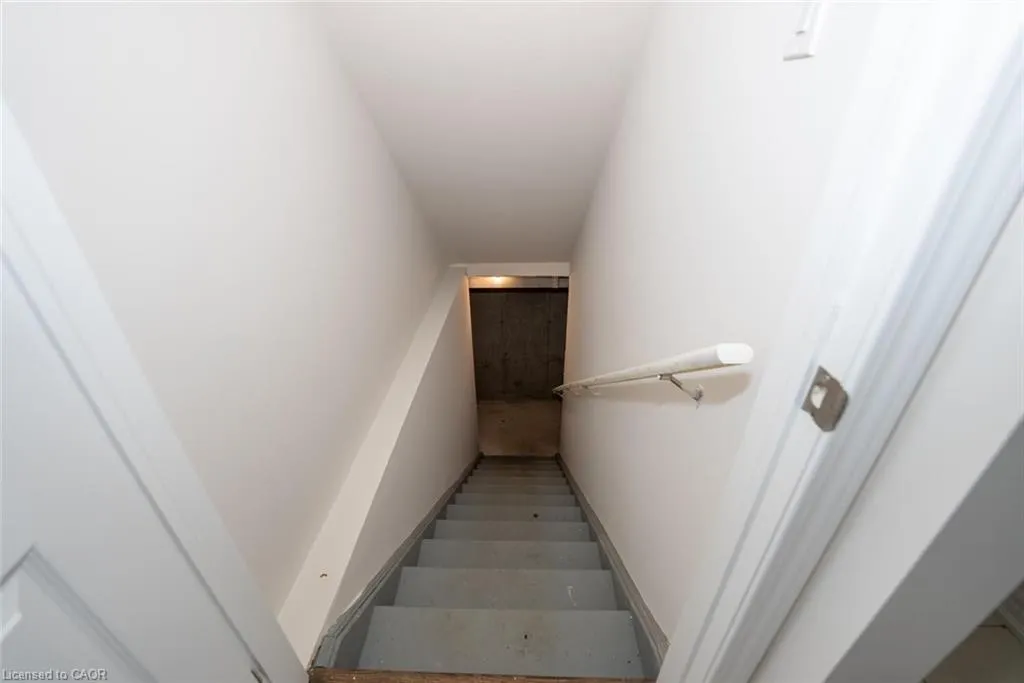 73 Forestwalk Street