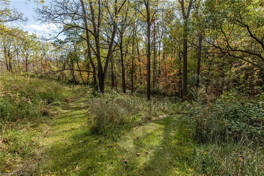 151 Patterson Road