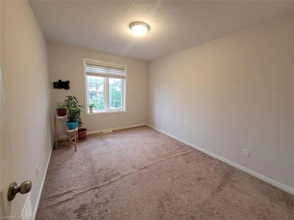 25 Grand Flats Trail