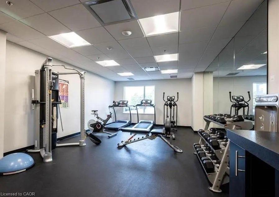 255 Northfield Drive E, #513