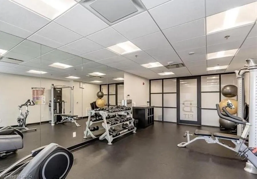 255 Northfield Drive E, #513