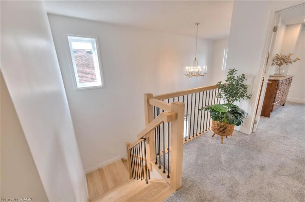 164 Timber Trail Road