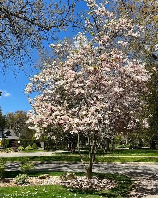 206 Rossmore Boulevard